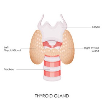 Partial Thyroidectomy by OrangeCountySurgeons.org  (2)